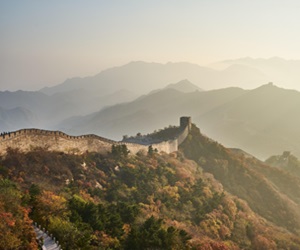 le cannabis est apparu en Chine